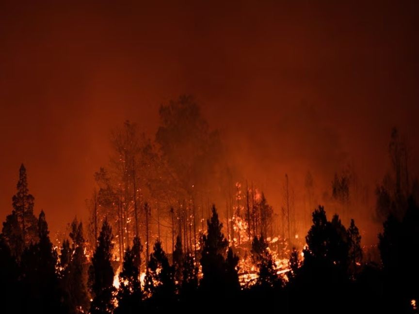 موجات حر وحرائق غابات قياسية تجتاح نصف الكرة الجنوبي في 2026