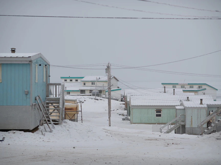 لمنع انتشار الفيروسات.. "الأمن الحيوي" مبادرة روسية بالقطب الشمالي