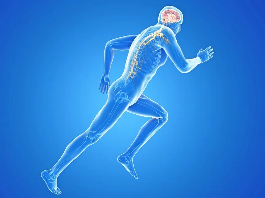 زيادة القدرة على التحمل ليست من العضلات فقط لكن من خلايا الدماغ، صورة تعبيرية - getty