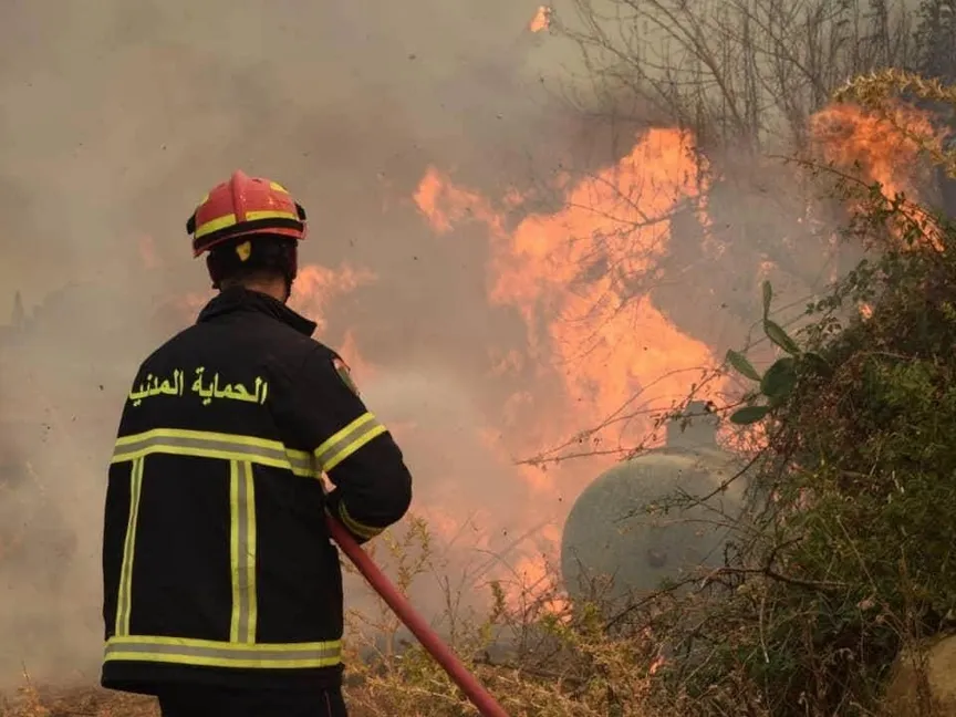 الرئيس الجزائري يوجه بتغليظ عقوبة إشعال الحرائق إلى الإعدام