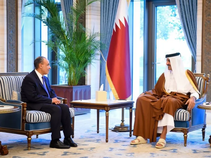 وزير الخارجية المصري يلتقي أمير قطر ووزير خارجية الإمارات ويتوجه إلى مسقط