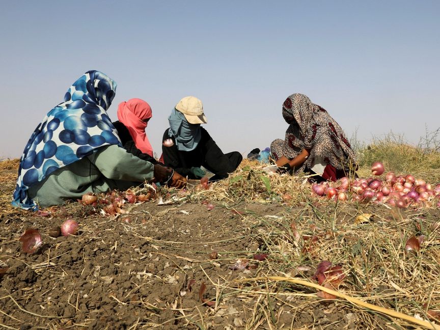 الحوار السوداني.. هل ينقذ ما يمكن إنقاذه؟