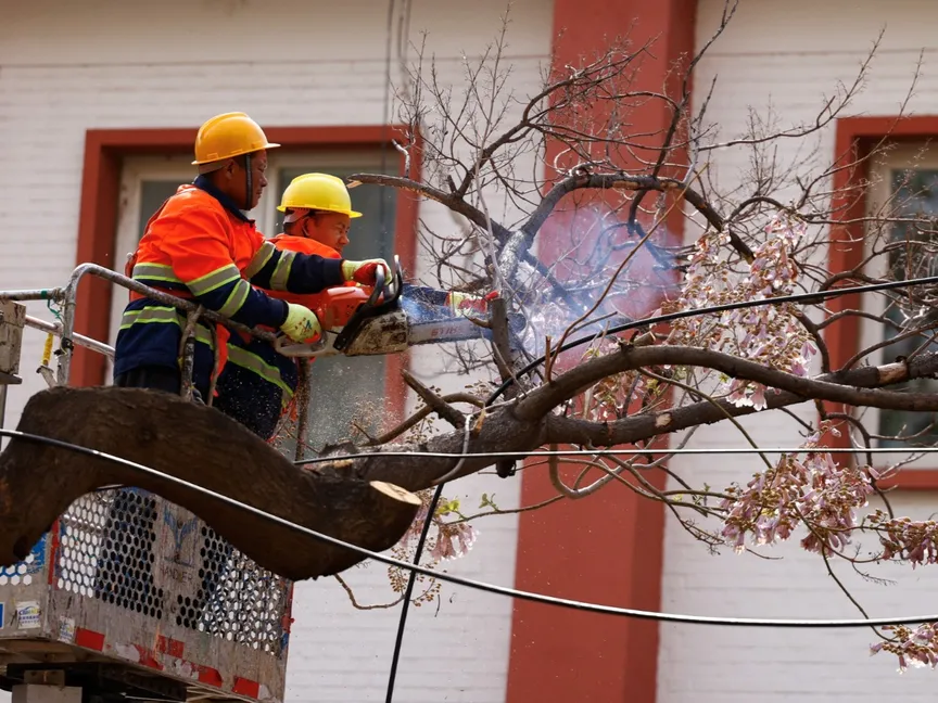 فرق الطوارئ تقطع فروع الأشجار بعد رياح شديدة، في بكين، الصين، 12 أبريل 2025 - REUTERS