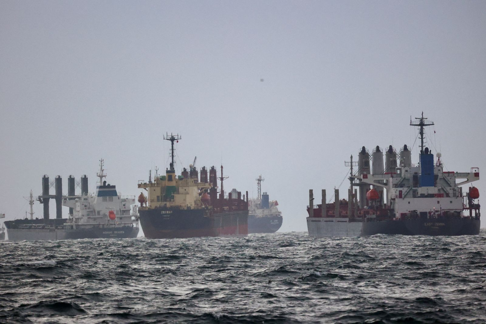 سفن تنقل حبوباً من أوكرانيا خلال انتظارها التفتيش في المرسى الجنوبي لمضيق البوسفور في إسطنبول بتركيا، 11 ديسمبر 2022 - REUTERS