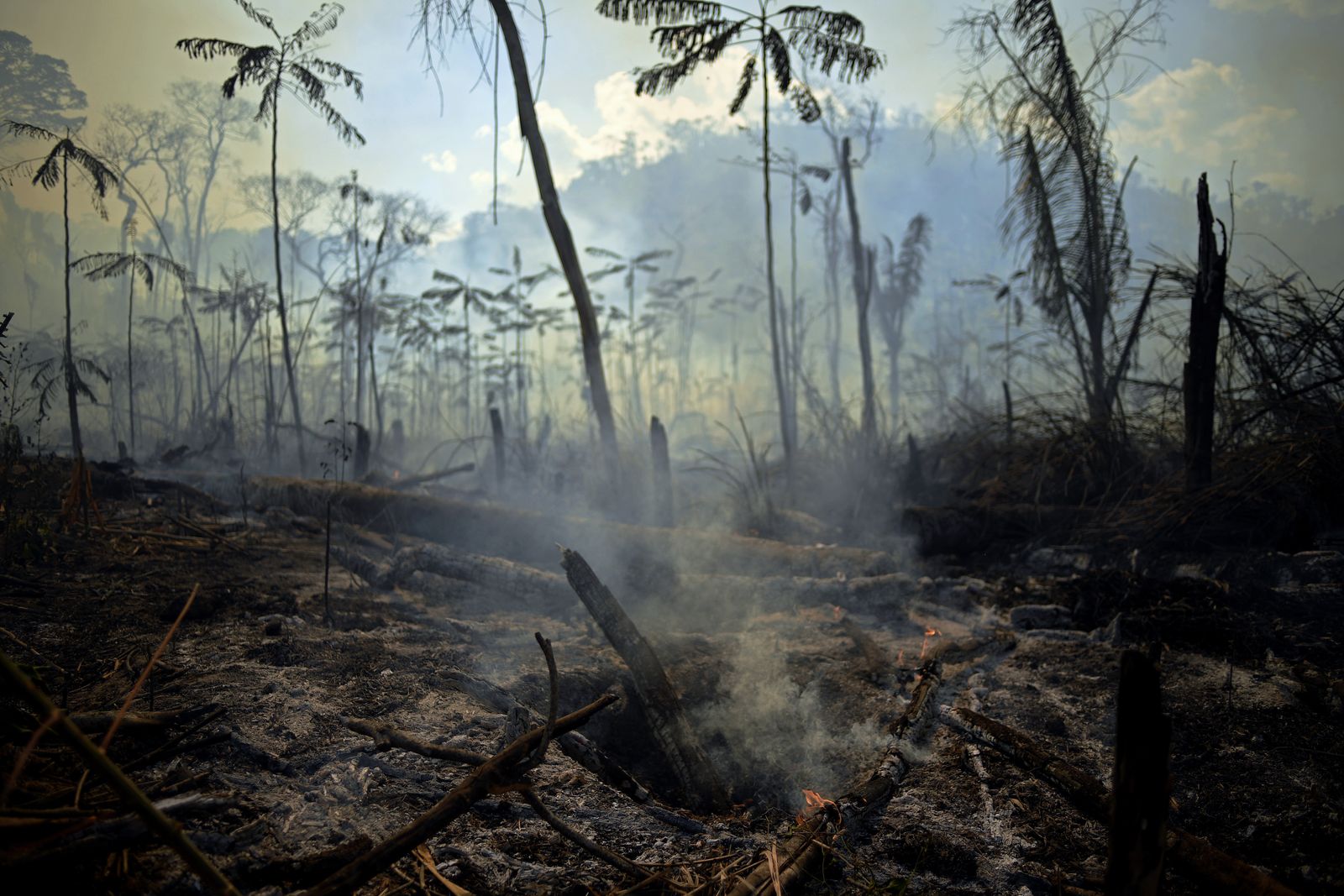 جانب من حرائق غابات الأمازون في منطقة نوفو بروغريسو 16 أغسطس 2020 - AFP