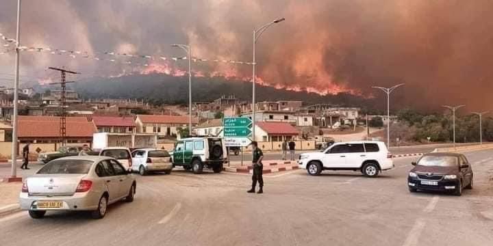 جانب من الحرائق في مدينة القالة الحدودية بولاية الطارف، الجزائر 17 أغسطس 2022 - الشرق