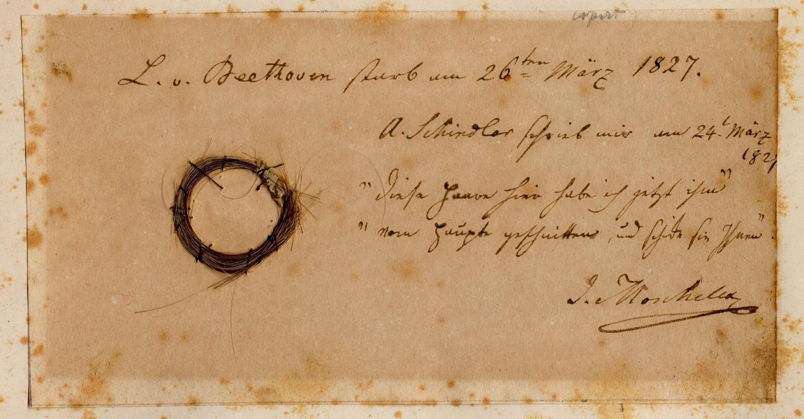 This undated image released by the Beethoven Studies, San Jose State University, shows the Moscheles Lock of German composer Ludwig van Beethoven, authenticated by the study, with inscription by former owner Ignaz Moscheles. - Beethoven died in Vienna nearly 200 years ago after a lifetime of composing some of the most influential works in classical music. Ever since, biographers have sought to explain the causes of the German composer's death at the age of 56, his progressive hearing loss and his well-documented struggles with chronic illness. A team of researchers who sequenced Beethoven's genome using locks of the German composer's hair may now have some answers. Liver failure, or cirrhosis, was the possible cause of Beethoven's death brought about by a number of factors, including the composer's alcohol consumption, they said. (Photo by Ira F. Brilliant / Center for Beethoven Studies, San Jose State University / AFP) / RESTRICTED TO EDITORIAL USE - MANDATORY CREDIT 