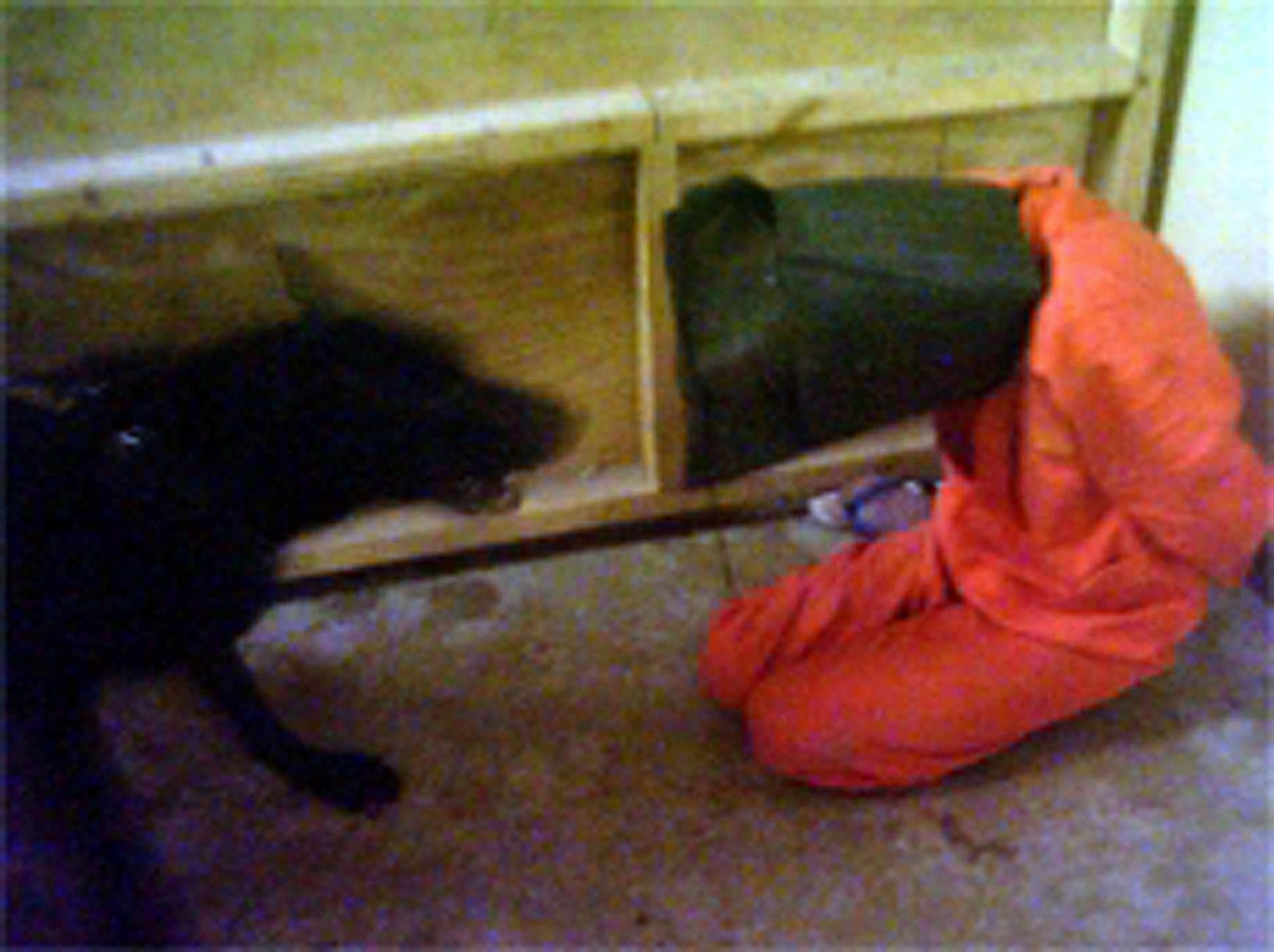 صورة تظهر سجيناً مقيّداً يتعرض لهجوم من قبل كلب في سجن أبو غريب في العراق. 15 فبراير 2006