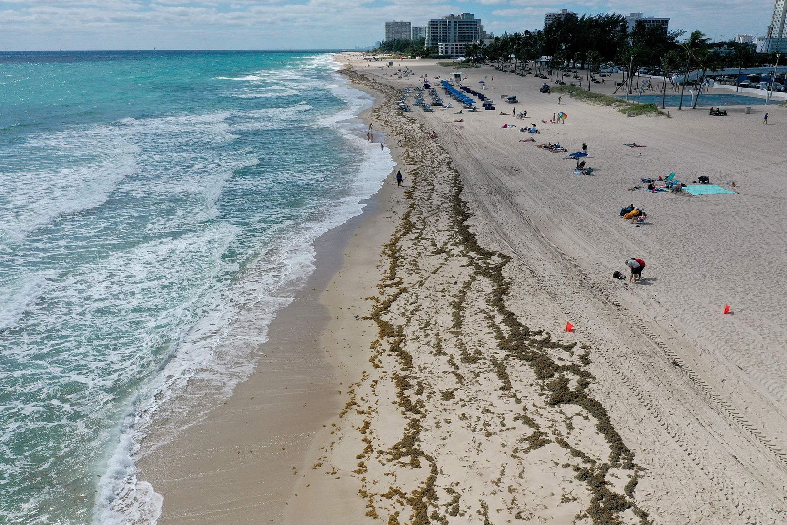 Large Algae Bloom In Atlantic Ocean Makes Way To Florida Beaches - Getty Images via AFP