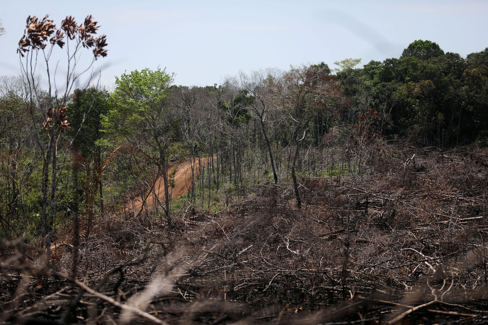 إزالة غابات في وسط سهول ياري بكولومبيا - 2 مارس 2021 - REUTERS