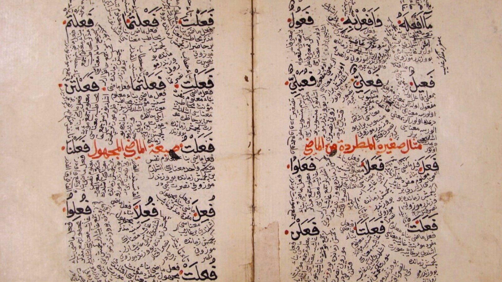 العلماء العرب والأمازيغ في المغرب.. بناء العربية وعلومها 