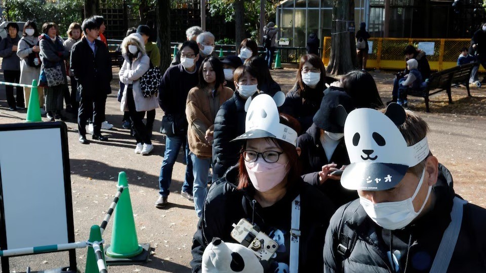 حزن في اليابان قبل مغادرة آخر 2 من الباندا إلى الصين 