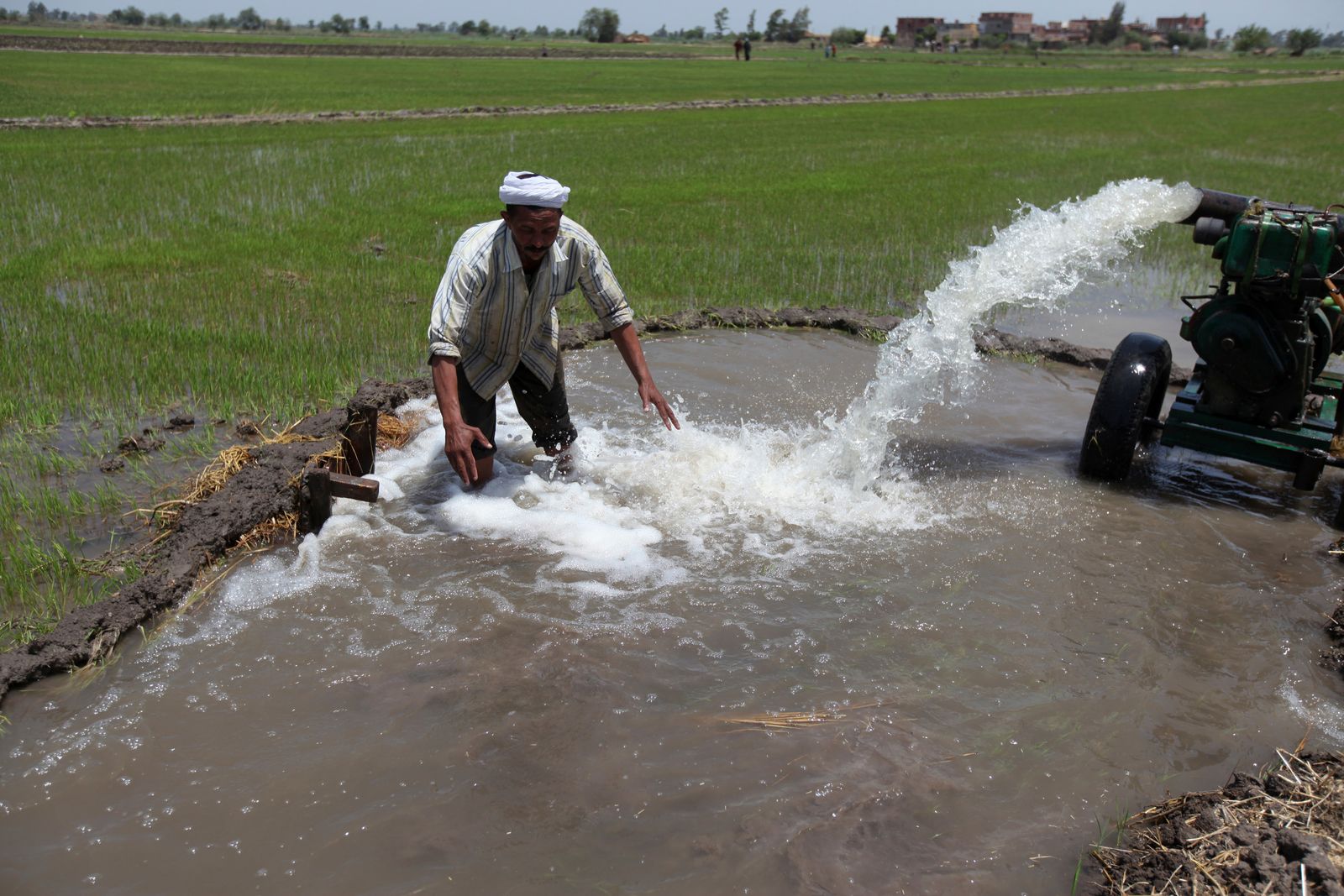 مزارع مصري يحاول ري أرضه عن طريق ضخ المياه من بئر في مزرعة تضررت من الجفاف بعد أن كانت سابقاً بنهر النيل في الدقهلية، شمالي القاهرة - REUTERS