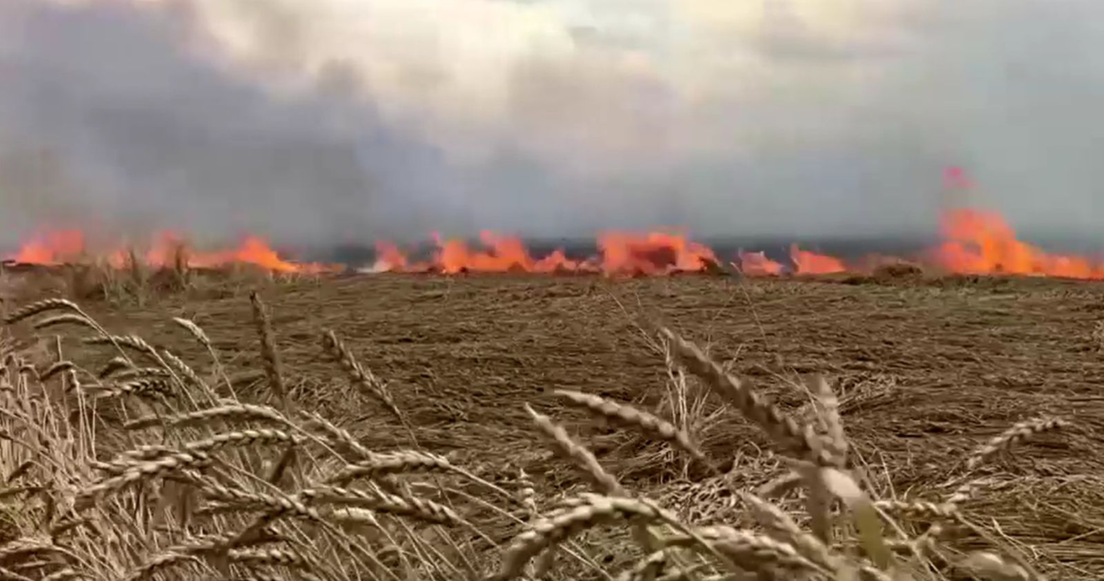 حريق يجتاح أحد حقول منطقة زابوريزجيا بأوكرانيا - 18 يوليو 2022 - REUTERS