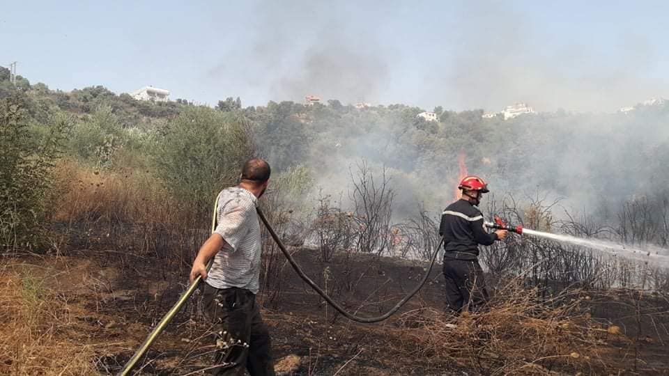 رجال الإطفاء يحاولون إخماد حريق في غابة بولاية تيزي وزو، شرق الجزائر - المديرية العامة للحماية المدنية الجزائرية