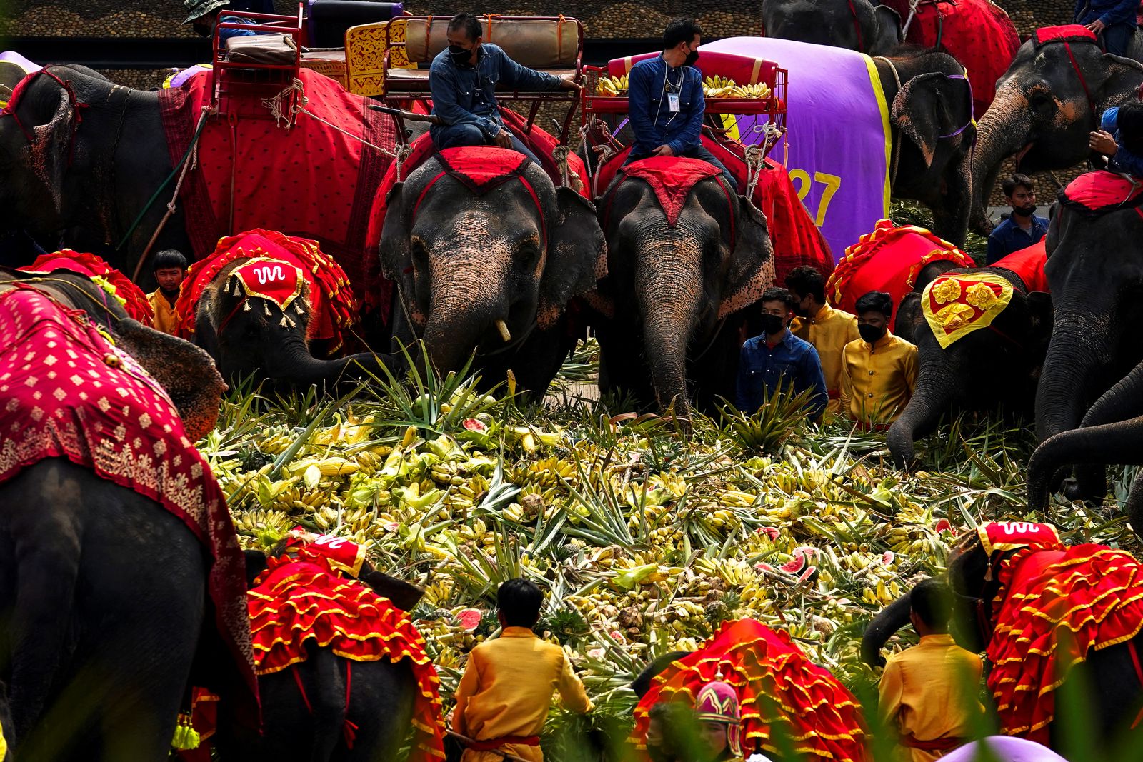 شارك 60 فيلاً في سفرة الفاكهة والخضار الكبرى في جزيرة بتايا، تايلندا - 13 مارس 2022 - REUTERS