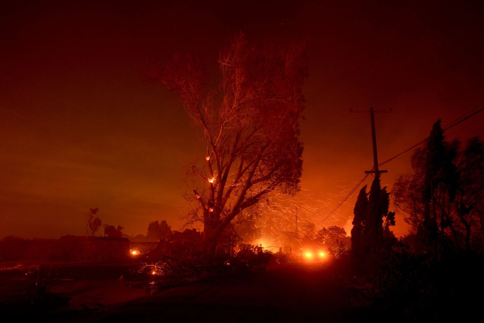 A tree burns during the Mountain Fire in Camarillo, California, US, on Wednesday, Nov. 6, 2024. Firefighters are working to contain the Mountain Fire in Ventura County which they say is being fueled by strong winds blowing through the area. Photographer: Eric Thayer/Bloomberg