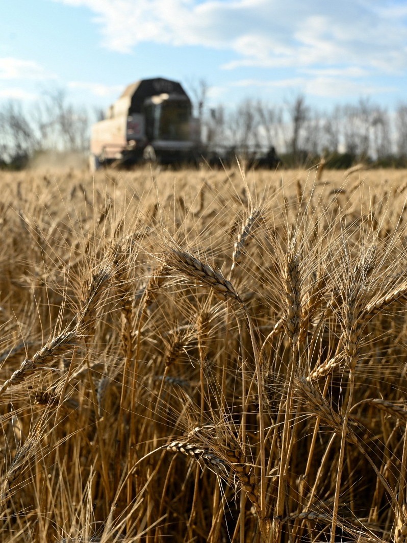 روسيا ترسل شحنة قمح إلى إيران عبر بحر قزوين لأول مرة منذ سنوات 