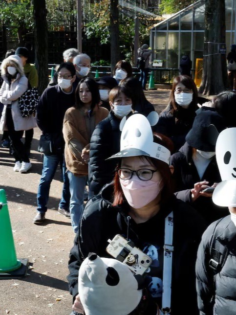 حزن في اليابان قبل مغادرة آخر حيواني باندا عملاقة إلى الصين 