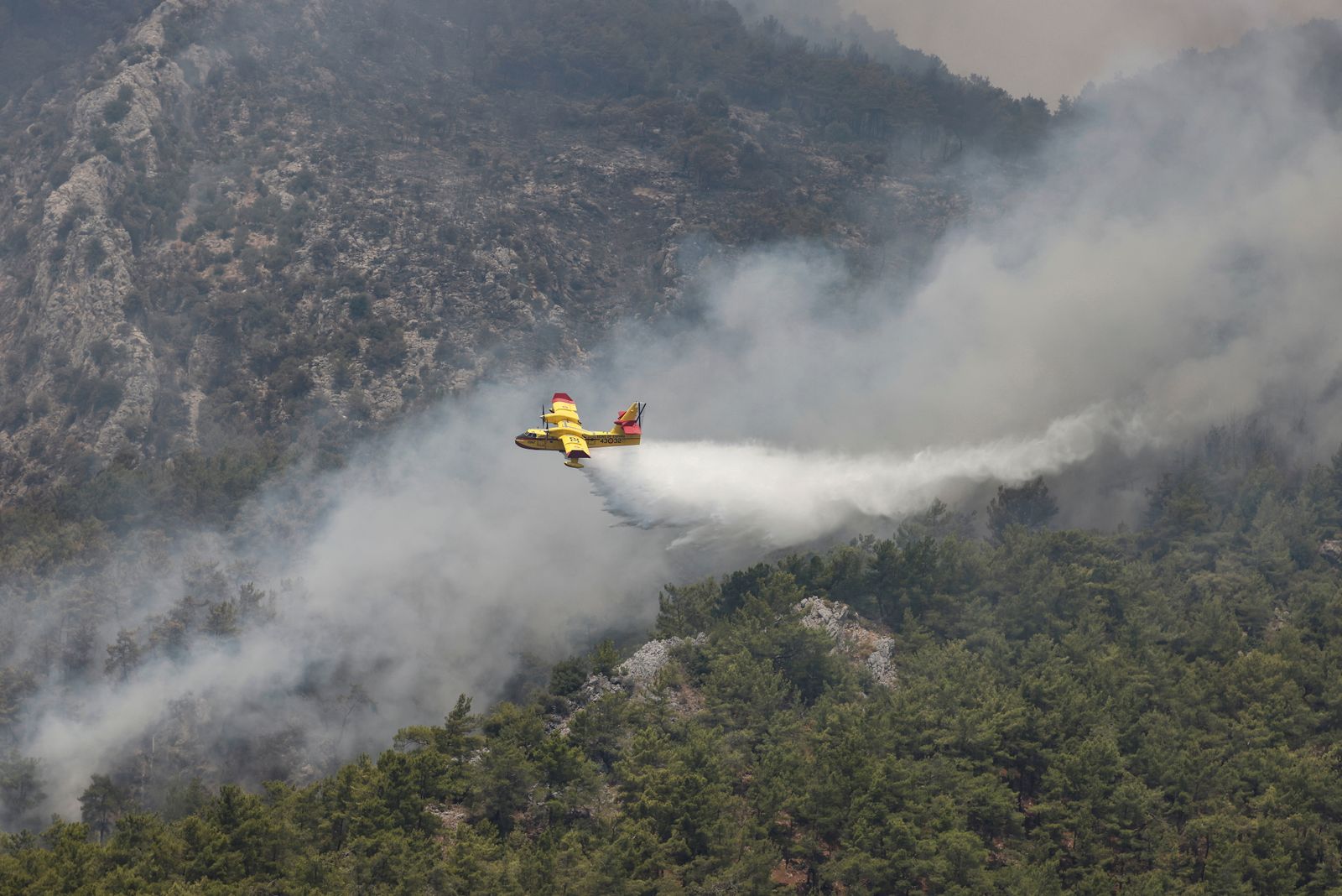 طائرة إطفاء تلقي المياه على الحرائق في محاولة لإخمادها. - REUTERS