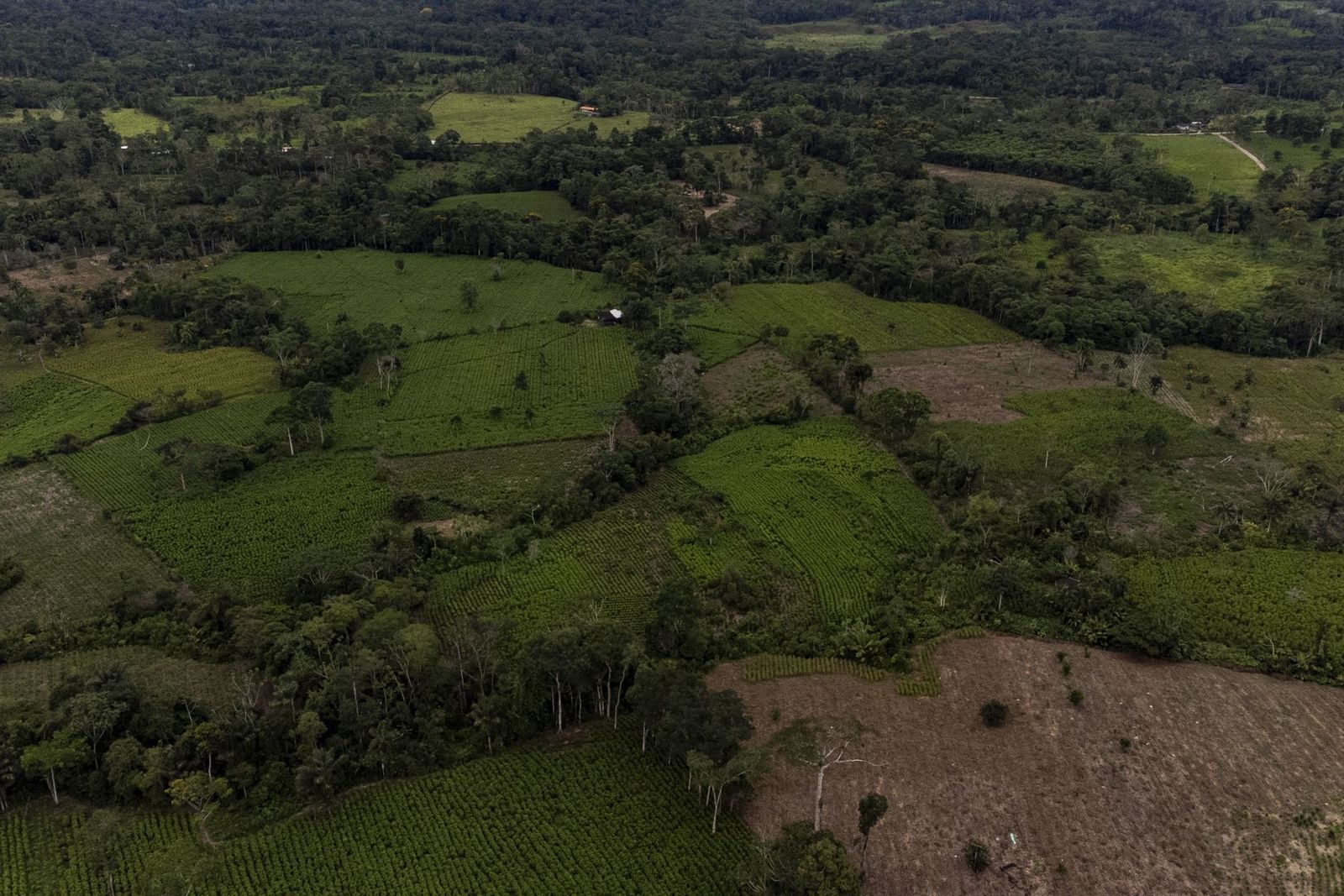 Colombia's Cocaine Boom Is Bringing Violence, Corruption And Huge Profits - Bloomberg