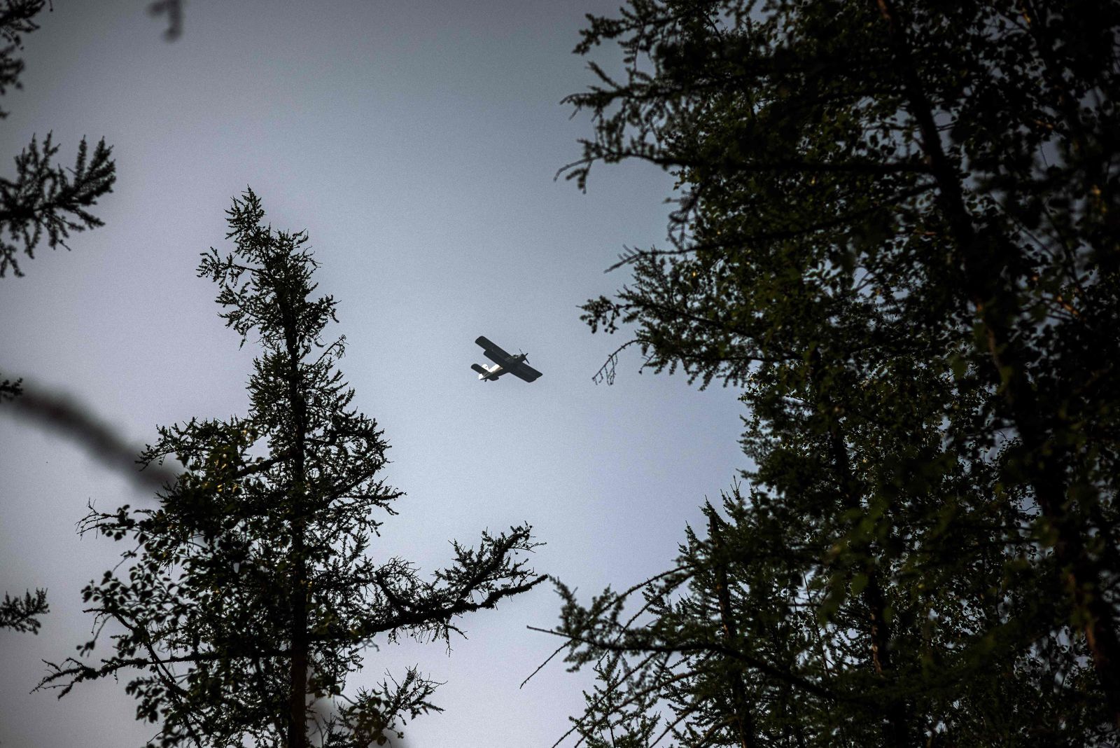 An aircraft of the Air Forest Protection Service flies over a forest at the edge of the village of Byas-Kyuel, on July 26, 2021. - Fuelled by a June heatwave, wildfires have swept through more than 1.5 million hectares of Yakutia's swampy coniferous taiga with more than a month still to go in Siberia's annual fire season. It is the third straight year that Russia's coldest region -- with a border on the Arctic ocean -- has seen wildfires so vicious that they have nearly overwhelmed its Aerial Forest Protection Service. (Photo by Dimitar DILKOFF / AFP) - AFP