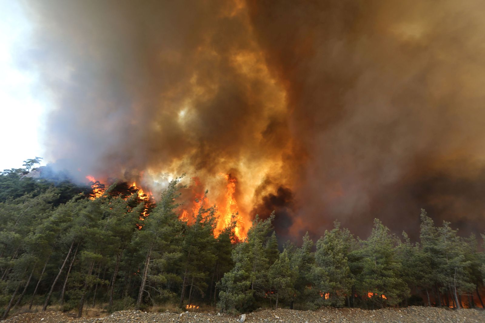 النيران تلتهم غابة مرمريس في تركيا - 30 يوليو 2021 - REUTERS
