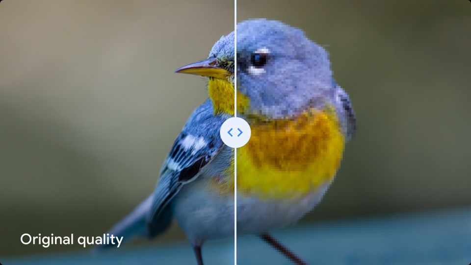 الصورة المرفقة برسالة غوغل البريدية الإلكتروني لتوضيح الفرق بين جودة Original Quality (إلى اليسار) وHigh Quality (إلى اليمين) - غوغل