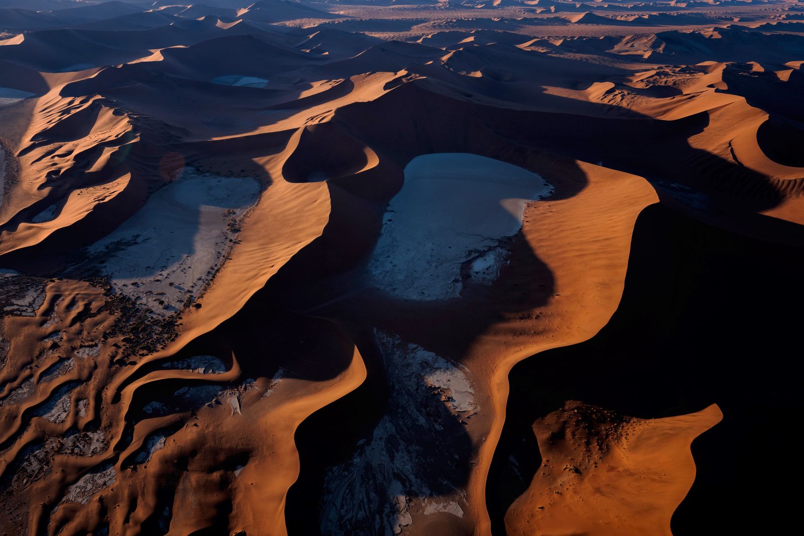 صورة من صحراء ناميبيا للمصوّر داني عيد - الشرق