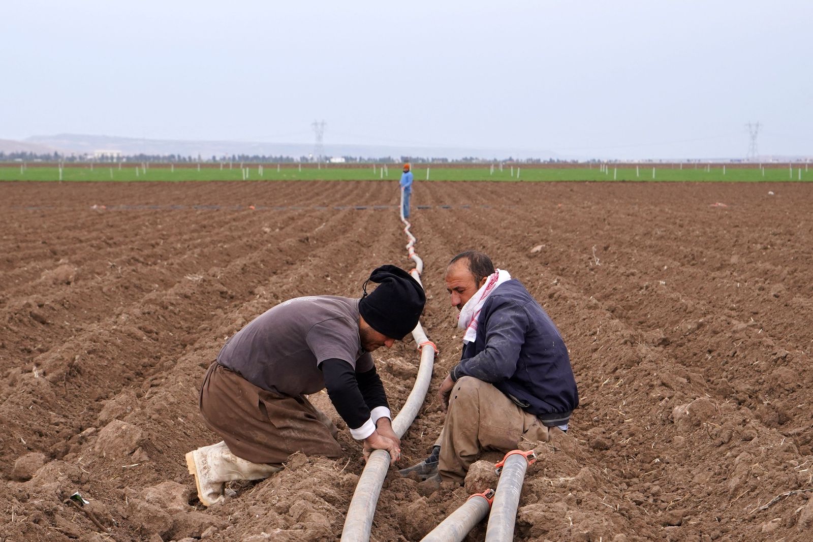 Iraqi Kurdish farmers install irrigation pipes on an agricultural land in the village of Bajid Kandala, situated on the banks of the Tigris river, some 50km west of the northern Iraqi city of Dohuk, on February 18, 2022. - The Tigris is one of Iraq's two big rivers that gave birth to the ancient empires of Sumer and Babylonia and are said to have watered the biblical Garden of Eden. Today, it is dying.Human activity and climate change have choked the once mighty stream that, with its twin the Euphrates, brought to life the civilisations of Mesopotamia thousands of years ago. (Photo by Ismael ADNAN / AFP) - AFP