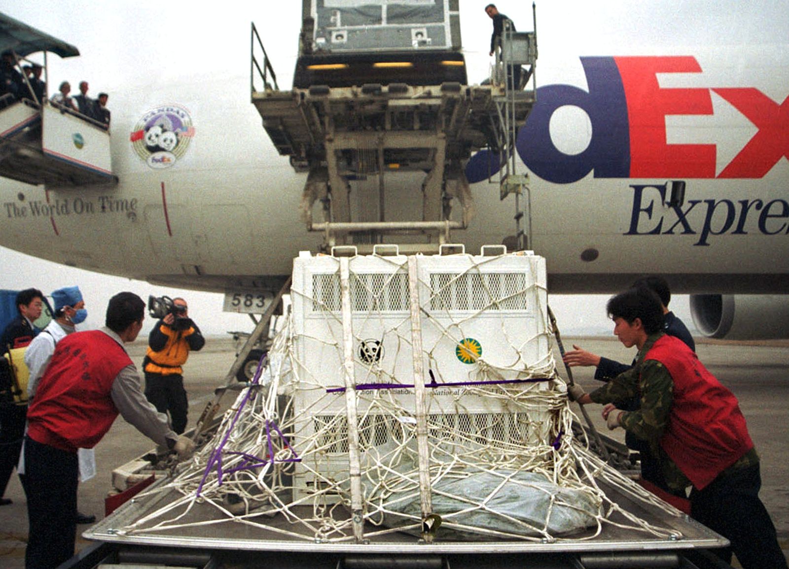 تحميل أقفاص خاصة تحمل اثنين من الباندا العملاقة تيان تيان ومي شيانغ في طائرة خاصة في مطار تشنغدو الدولي في مقاطعة سيتشوان جنوب غرب الصين قبل أن تغادر إلى حديقة الحيوان الوطنية الأمريكية في واشنطن. في 6 ديسمبر 2000 - REUTERS