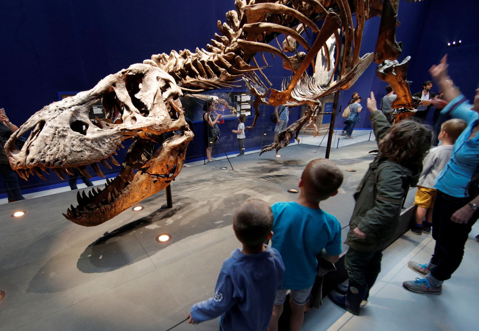 FILE PHOTO: Visitors look at a 67 million year-old skeleton of a Tyrannosaurus Rex dinosaur, named Trix, during the first day of the exhibition 