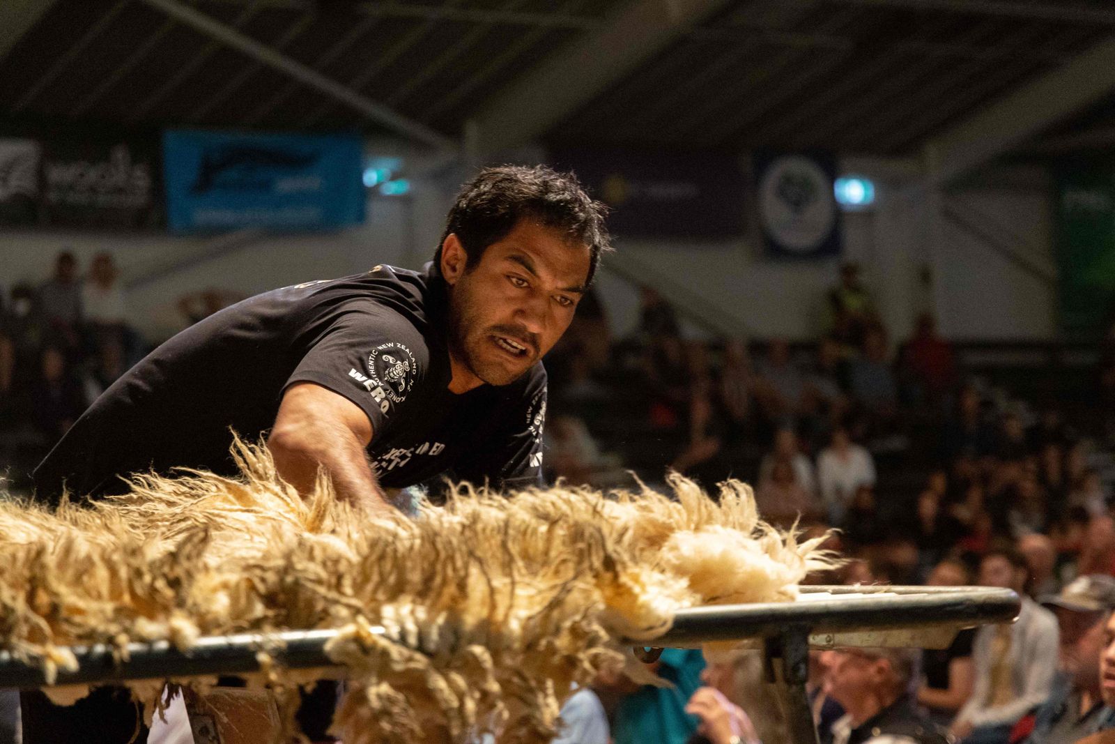 (FILES) In this file photo taken on March 04, 2023, Joel Henare from Gisborne casts a fleece as he competes in the wool handlers section during the Golden Shears International sheep shearing competition at The Wool Shed in Masterton. - In New Zealand's close-knit shearing community, Joel Henare is regarded as a Lionel Messi, Tiger Woods or Jonah Lomu -- a G.O.A.T in the sheep sheds. (Photo by Marty MELVILLE / AFP) / To go with 