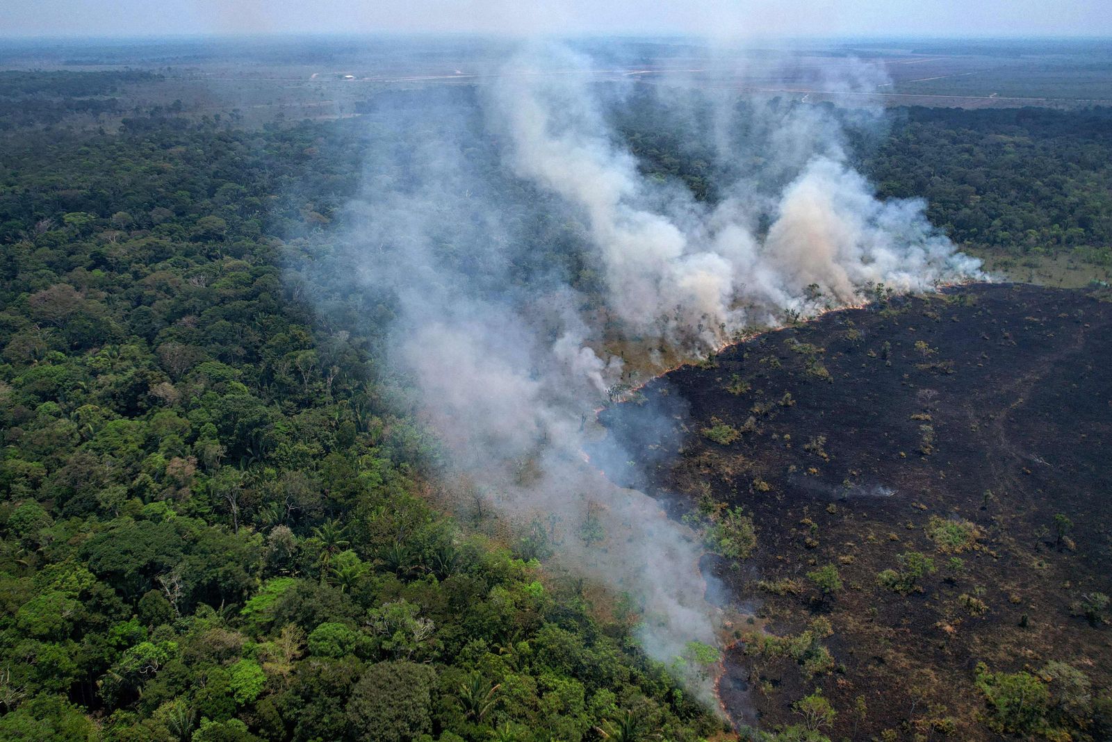 جانب من حرائق غابات الأمازون البرازيلية - 31 أغسطس 2022 - AFP