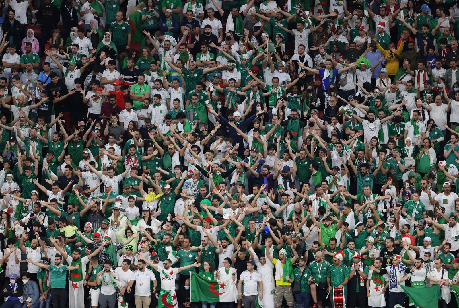 الجماهير الجزائرية في مدرجات استاد البيت في نهائي كأس العرب 2021 - REUTERS