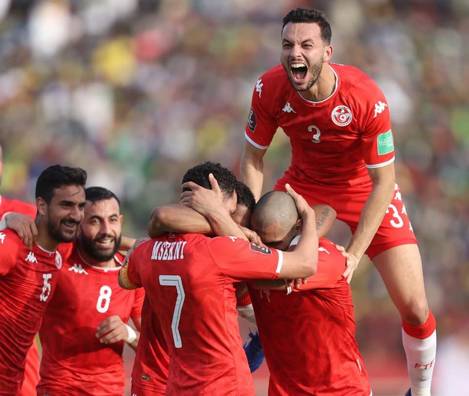 فرحة لاعبي تونس بهدف في شباك مالي  - facebook/FTF.OFFICIELLE