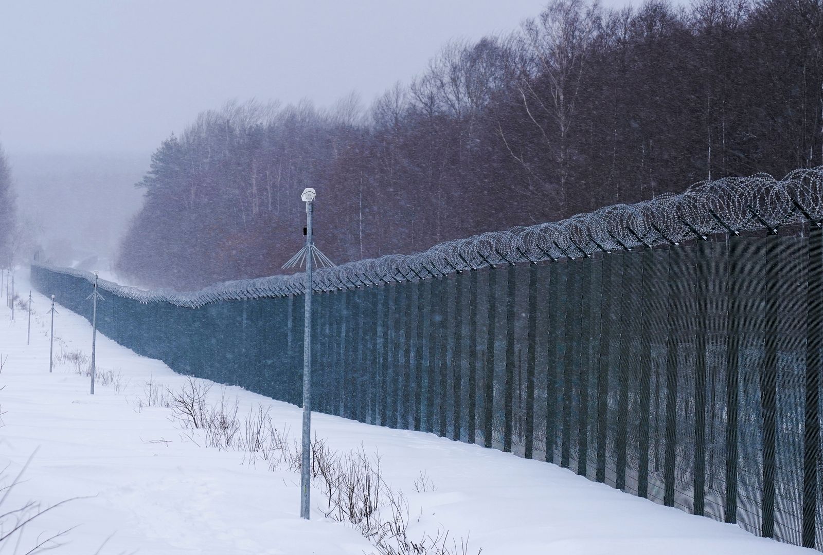 الخط الفاصل بين بيلاروس وليتوانيا - 21 يناير 2022 - REUTERS