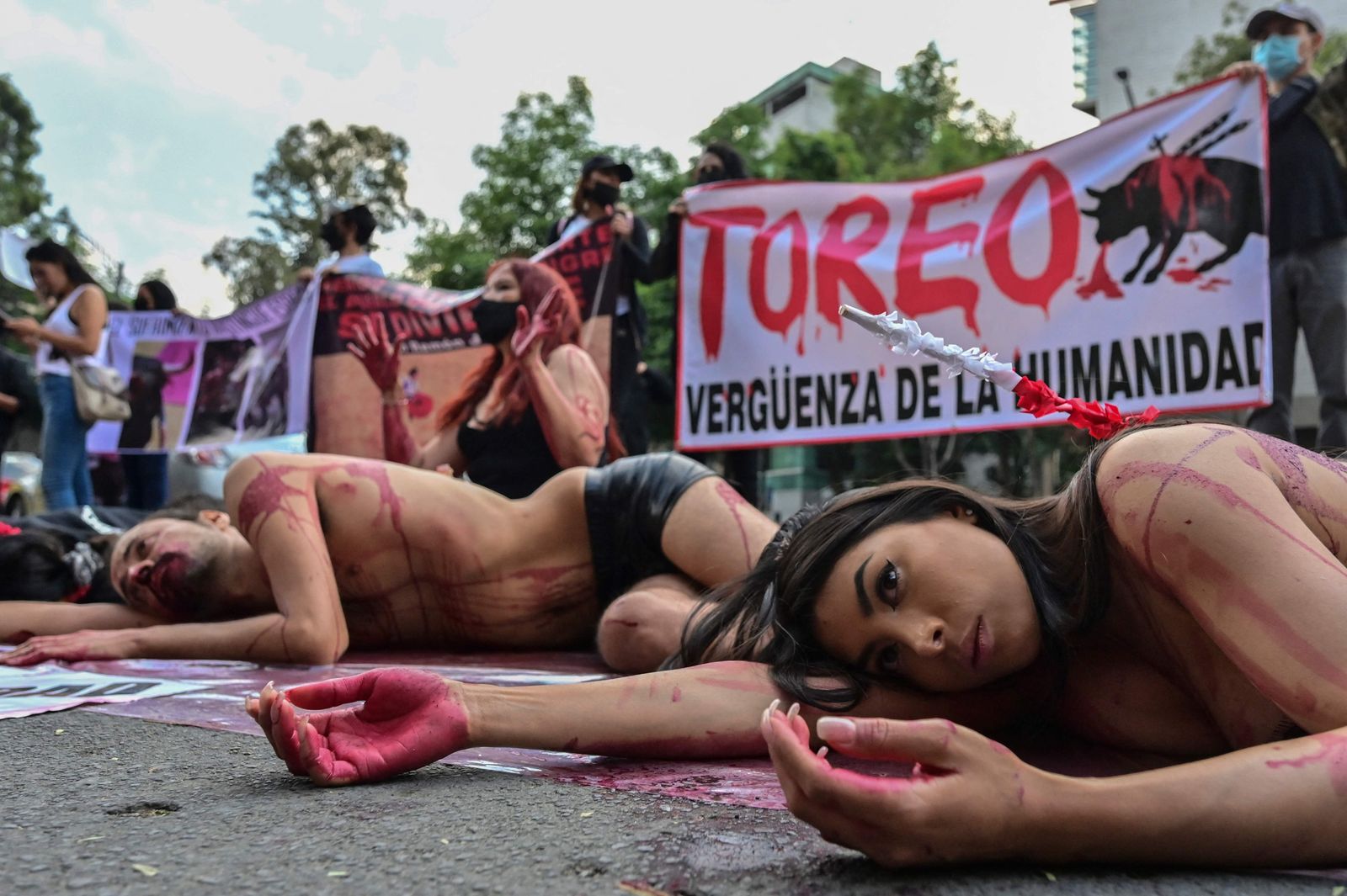 Anti-bullfighting activists demonstrate in front of a banner reading 