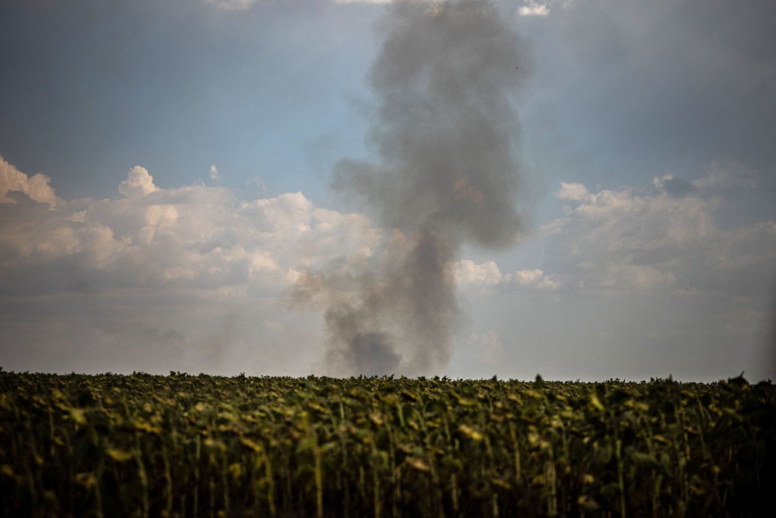 دخان يتصاعد من مزرعة في منطقة ميكولايف القريبة من خيروسن جنوبي أوكرانيا - 30 أغسطس 2022  - AFP