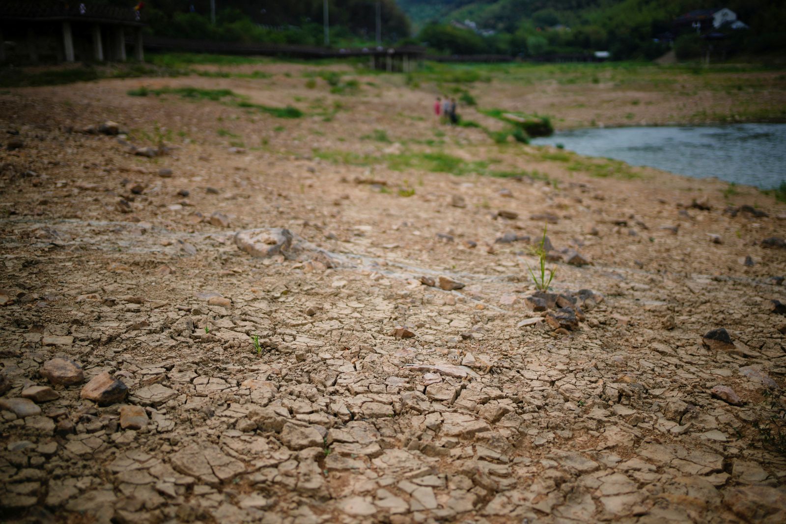 جفاف المياه والجداول في الصين بس ارتفاع درجات الحرارة العالية 