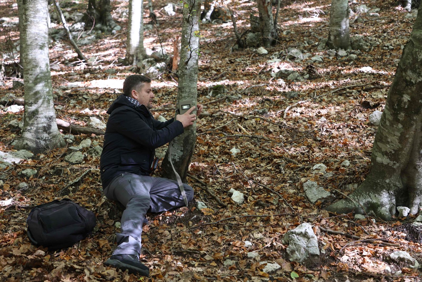 In this photograph taken on October 21, 2022, biodiversity expert Blendi Hoxha from the non-governmental organization of Protection and Preservation of Natural Environment in Albania (PPNEA), removes a wildlife trail camera to check for images of Balkan lynx at the protected area of Bize-Martanesh, near Diber County in Peshkopi, central Albania. - Experts of the non-governmental organization Protection and Preservation of Natural Environment in Albania (PPNEA) are installing wildlife trail cameras and looking to find evidence of critically endangered Balkan lynx that are estimated fewer than 40 remaining in the Balkans, of which less than 10 in Albania. (Photo by Gent SHKULLAKU / AFP) - AFP