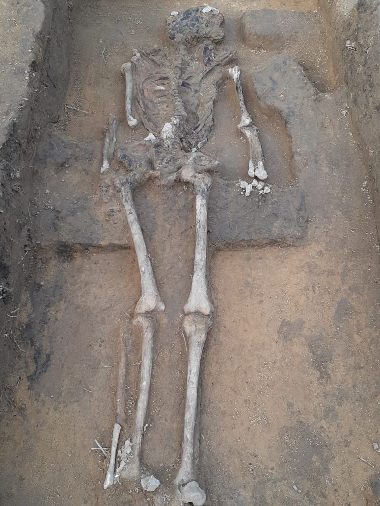 بعض الهياكل العظمية التي تم العثور عليها - twitter.com/TourismandAntiq/status/1412405254415605763/photo/1