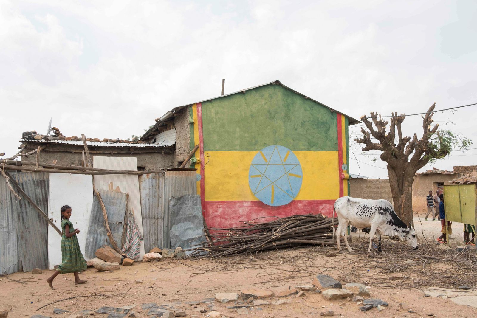 منزل مغطى بألوان إثيوبيا في منطقة 