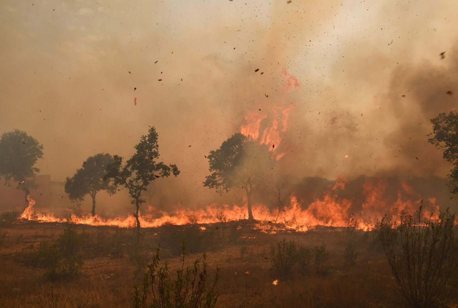 Flames rise from a forest near the village of Pumarejo, northern Spain, on July 18, 2022. - Emergency services battled several wildfires as Spain remained in the grip of an exceptional heatwave that has seen temperatures reach 43 degrees Celsius (109 degrees Farenheit). (Photo by MIGUEL RIOPA / AFP) - AFP