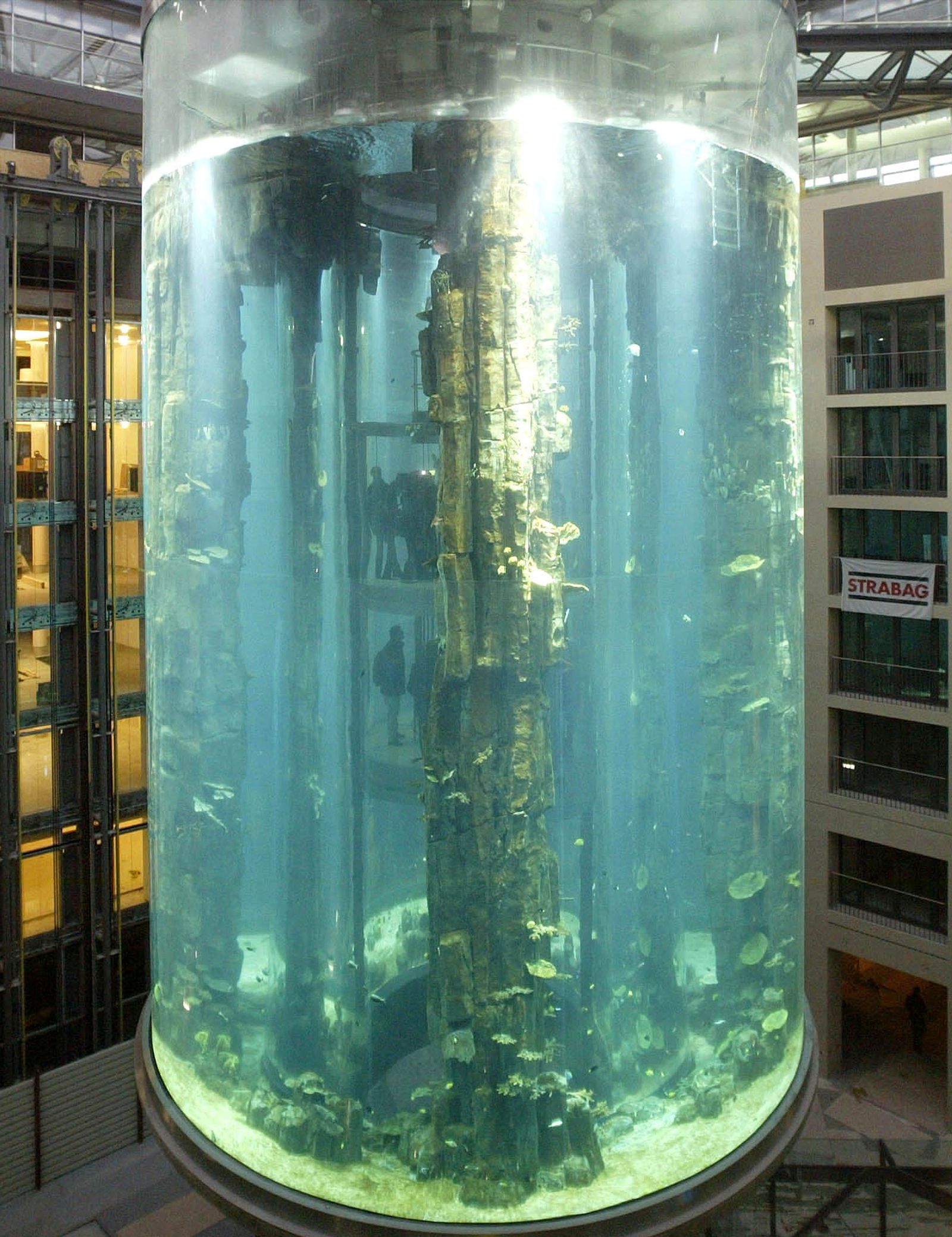 FILE PHOTO: VISITORS USE THE LIFT INSIDE THE AQUADOM IN BERLIN. - REUTERS