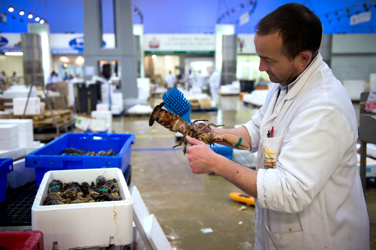 بائع ينظف الكركند في منطقة المأكولات البحرية بالعاصمة باريس - AFP