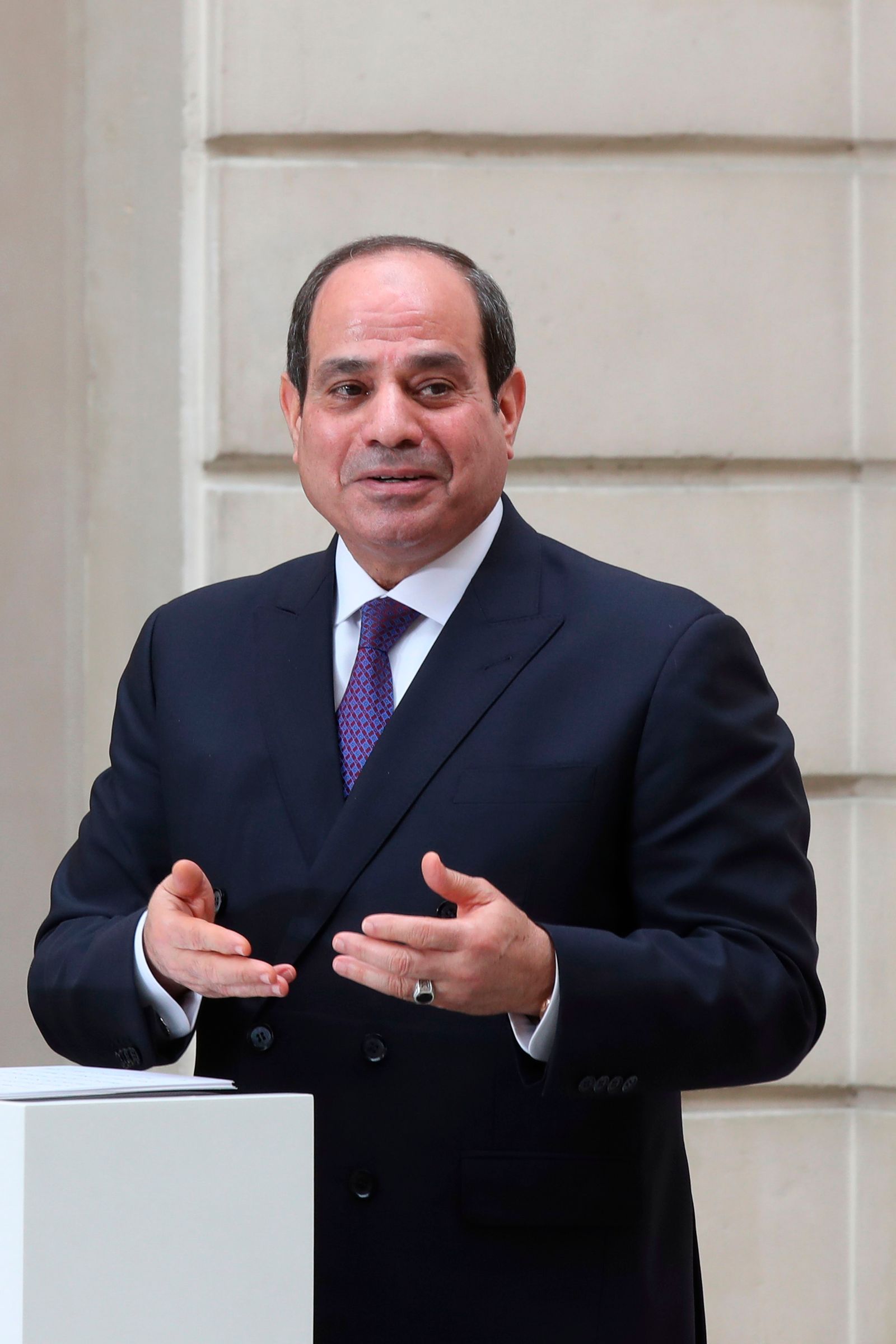الرئيس المصري عبد الفتاح السيسي خلال زيارة إلى فرنسا - AFP