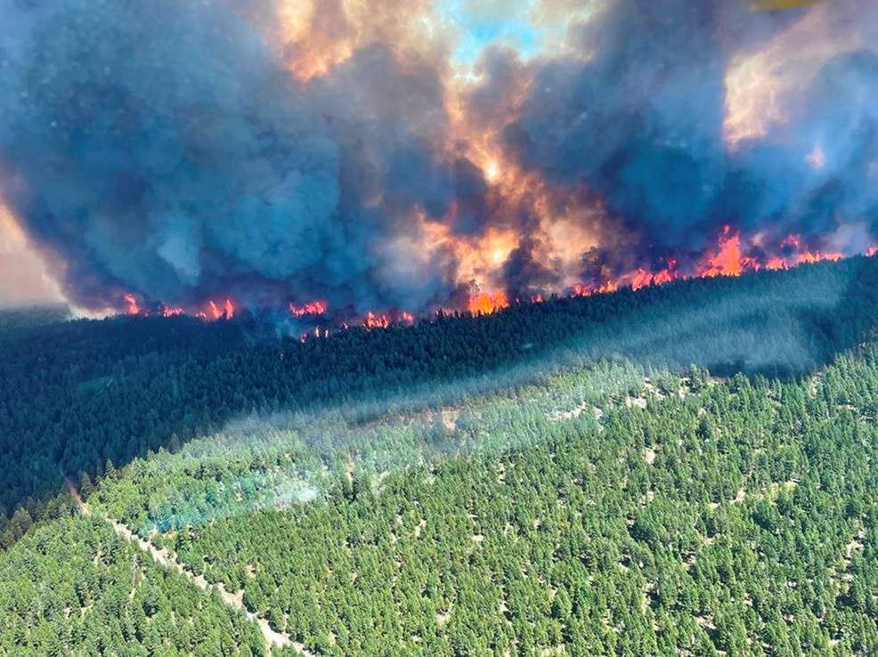  حرائق الغابات في كندا - via REUTERS