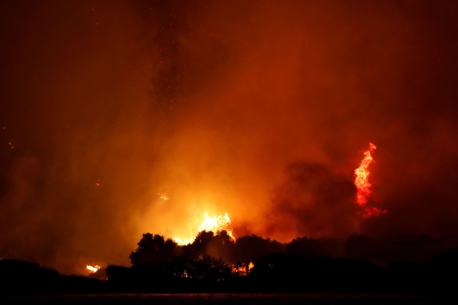ألسنة اللهب تحرق الأشجار في حرائق غير مسبوقة تشهدها تركيا. - REUTERS