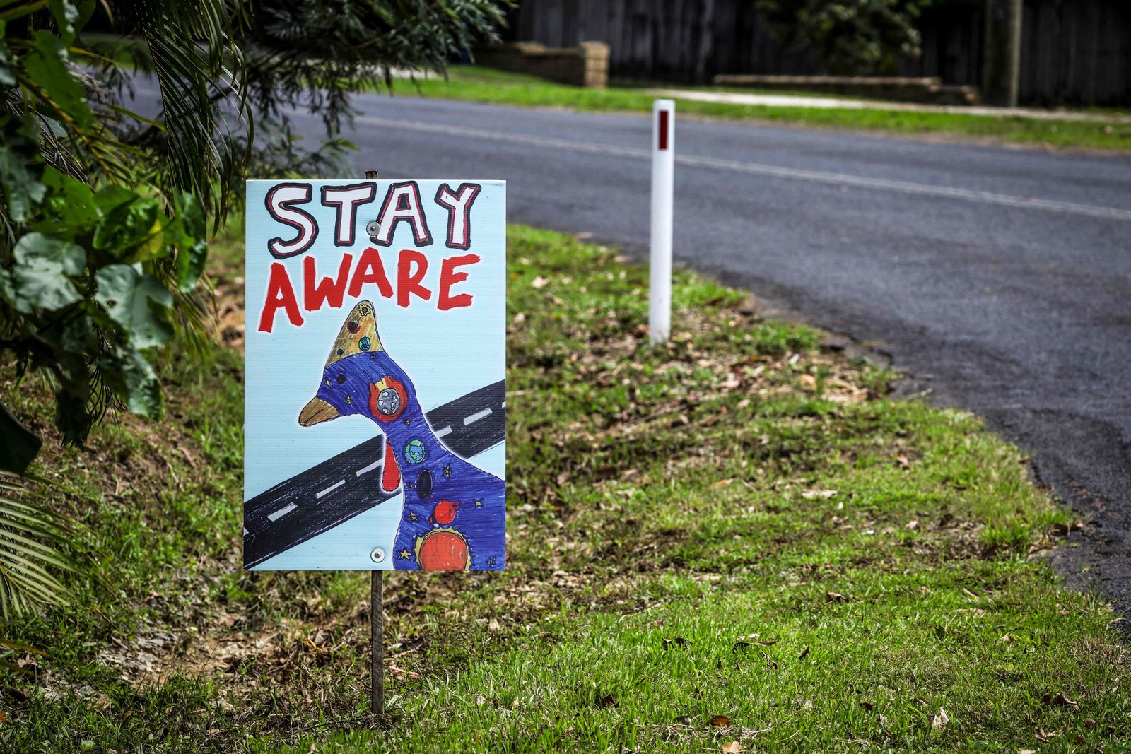 This picture taken on April 7, 2024 shows a sign warning motorists to be aware of cassowary birds on a road that passes through the township of Etty Bay, located in the Cassowary Coast region of North Queensland, south of Cairns. With legs like a velociraptor and a striking neon blue neck, the southern cassowary cuts a fearsome figure in the rainforests of northeast Australia. The flightless birds, only found in Australia, New Guinea and some Pacific islands, are listed as  endangered by the Australian government and estimates about 4,500 remain in the wild. (Photo by DAVID GRAY / AFP) / To go with AFP story Australia-conservation-birds, FOCUS by Laura Chung
